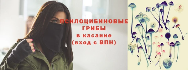 бошки Балахна