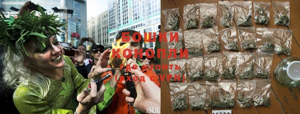 PSILOCYBIN Балабаново
